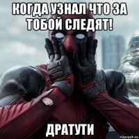 когда узнал что за тобой следят! дратути