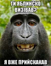 ти яблинско визiвав? я вже прийскакав