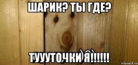 шарик? ты где? туууточки я!!!!!!