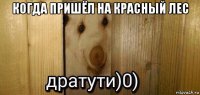 когда пришёл на красный лес 