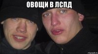 овощи в лспд 