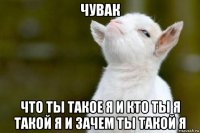 чувак что ты такое я и кто ты я такой я и зачем ты такой я