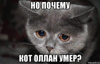 но почему кот оллан умер?