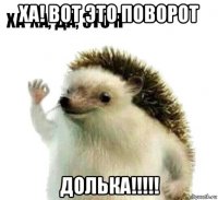 ха! вот это поворот долька!!!!!