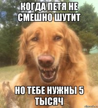 когда петя не смешно шутит но тебе нужны 5 тысяч