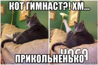 кот гимнаст?! хм... прикольненько