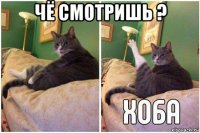 чё смотришь ? 