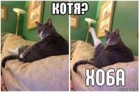 котя? 