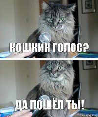 кошкин голос? да пошёл ты!