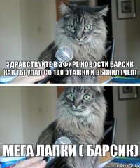 здравствуйте в эфире новости барсик как ты упал со 100 этажки и выжил (чел) мега лапки ( барсик)