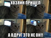 хозяин пришел а вдруг это не он!!