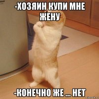 -хозяин купи мне жену -конечно же ... нет