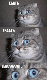 Ебать ЕБААТЬ ЕБААААААААТЬ!!!