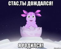 стас,ты дождался! я родился!