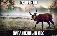 78 регион заражённый лес