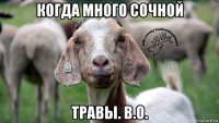 когда много сочной травы. в.о.