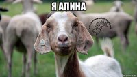 я алина 