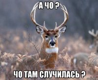 а чо ? чо там случилась ?