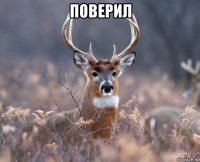 поверил 