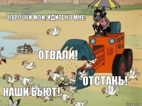 Курочки мои, идите ко мне! Отвали! Отстань! Наши бьют!