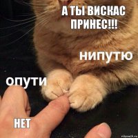 А ты ВИСКАС ПРИНЕС!!! нет