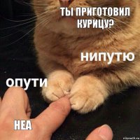 Ты приготовил курицу? неа