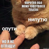 Коротко обо моих чувствох к тебе)))) Но я не отпущу!