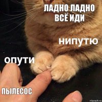 ладно ладно всё иди пылесос