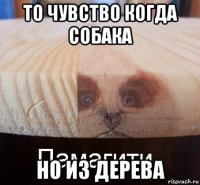 то чувство когда собака но из дерева