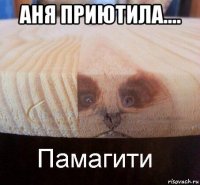 аня приютила.... 