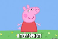  я террорист!