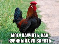  могу научить, как куриный суп варить