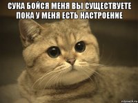 сука бойся меня вы существуете пока у меня есть настроение 