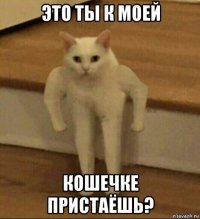 это ты к моей кошечке пристаёшь?