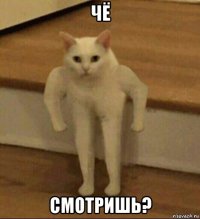 чё смотришь?