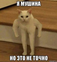 я мушина но это не точно