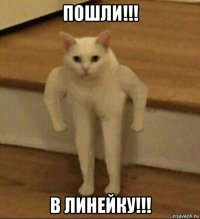 пошли!!! в линейку!!!