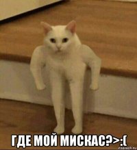  где мой мискас?>:(