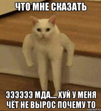 что мне сказать ээээээ мда.... хуй у меня чёт не вырос почему то