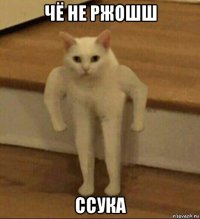 чё не ржошш ссука