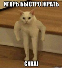 игорь быстро жрать сука!