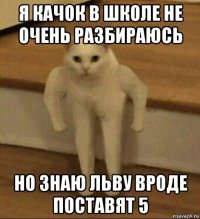 я качок в школе не очень разбираюсь но знаю льву вроде поставят 5