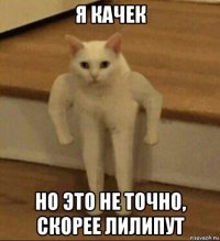 я качек но это не точно, скорее лилипут