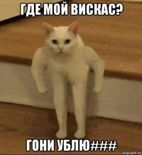 где мой вискас? гони ублю###