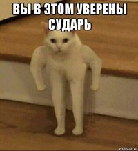 вы в этом уверены сударь 