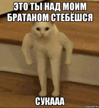 это ты над моим братаном стебёшся сукааа