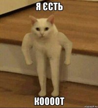 я єсть коооот