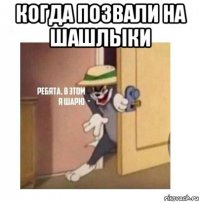 когда позвали на шашлыки 