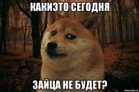 какиэто сегодня зайца не будет?