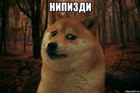 нипизди 